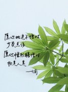 有关六月七月唯美句子的短句英语（那些美好而神秘的时刻）