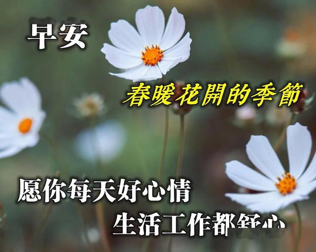 关于公司祝福语大全（公司祝福，传递温暖）