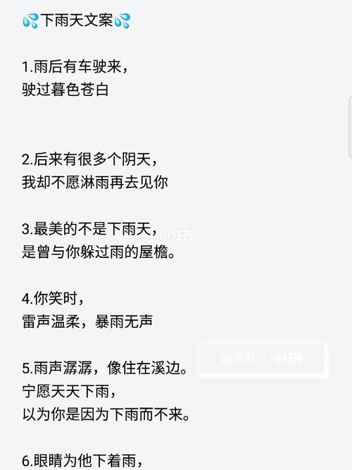 有关下雨天唯美句子的好句子摘抄（雨丝敲击，唯美诗行）