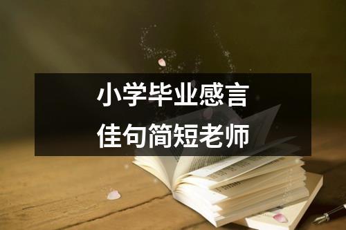 有关幼儿园毕业感言唯美句子的句子（幼儿园毕业感言：告别童年的梦想）