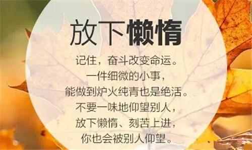 关于努力的名言短句（拼搏奋斗，追逐梦想）