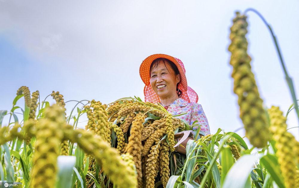 有关每个画面都是丰收的中国唯美句子的句子有哪些（领略中国农村美景）