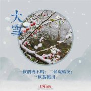 大雪节气广告文案（大雪节气唯美短句）