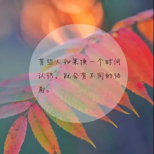 发现生活中的美短句（生活的美好）