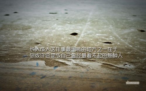 关于励志句子,励志句子大全（《梦想，从此开始》）