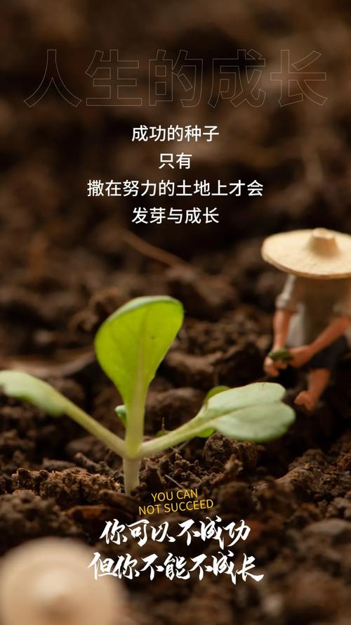 关于绿植的唯美句子短句（绿色的世界）