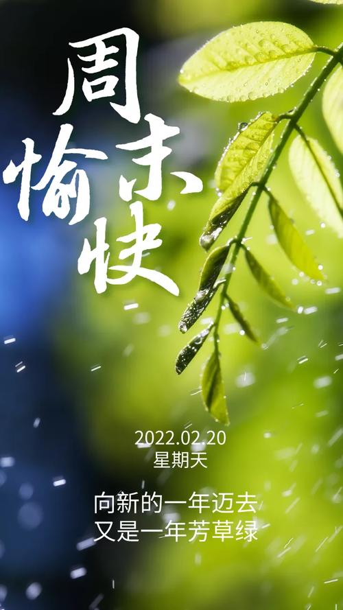 早安的暖心祝福语（清晨初醒，唯美祝福遍洒）