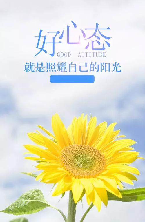 朋友圈置顶自己发的一条说说（用心收藏，用力前行）