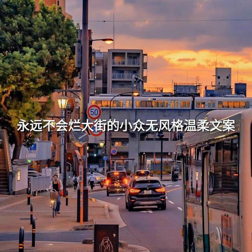 有关无风格的小众唯美句子的短句英文（静默而美丽的文字）