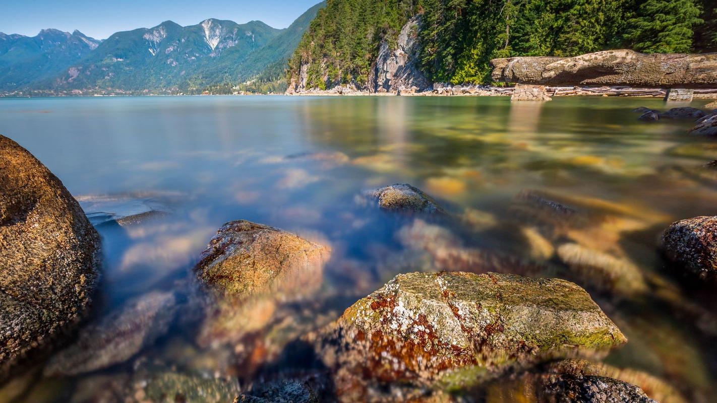 那些故乡的大海作文（《大海的风景》）