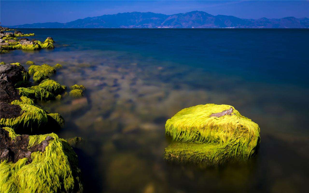 那些大海的写景作文（《迷人的大海》）