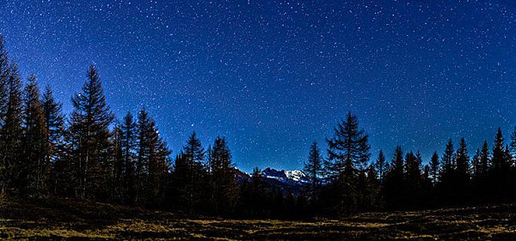 那些春天的夜晚作文（《夜晚的风景》）