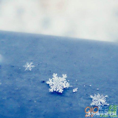 是关于雪的作文（《漫天飞舞的白色粉末》）