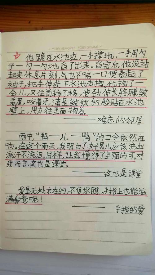 以摘抄为话题的作文500字（《好句子改变人生》）