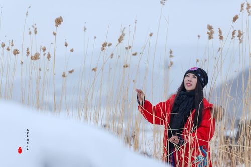 驱散心中的阴霾作文600（《一位女孩的自我探索之旅》）