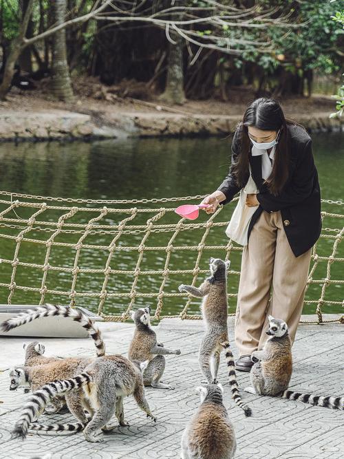 关于去动物园的作文300字左右（《ADayattheZoo》）