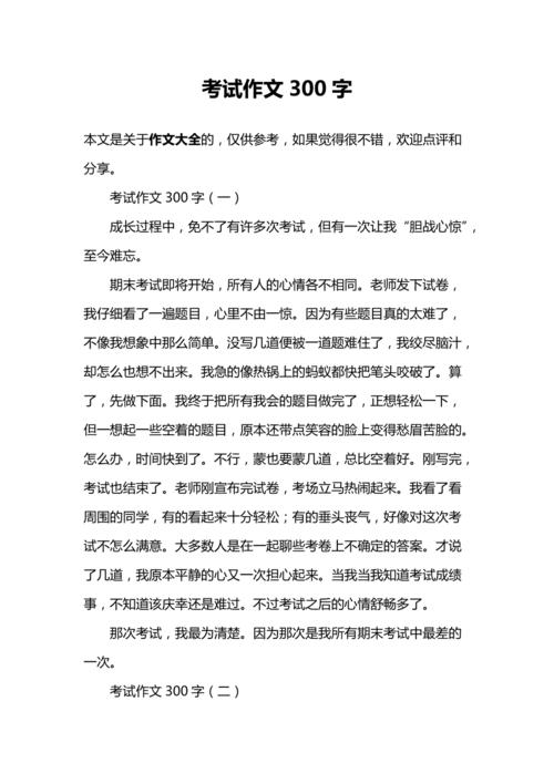 有关考试的作文800字（《一次难忘的考试经历》）