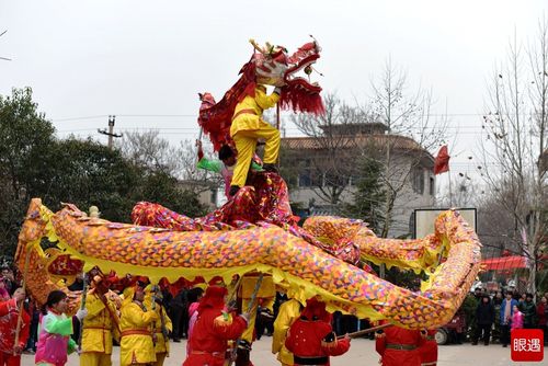 新年见闻作文600字2021年（《在雪中寻找岁末的温暖》）