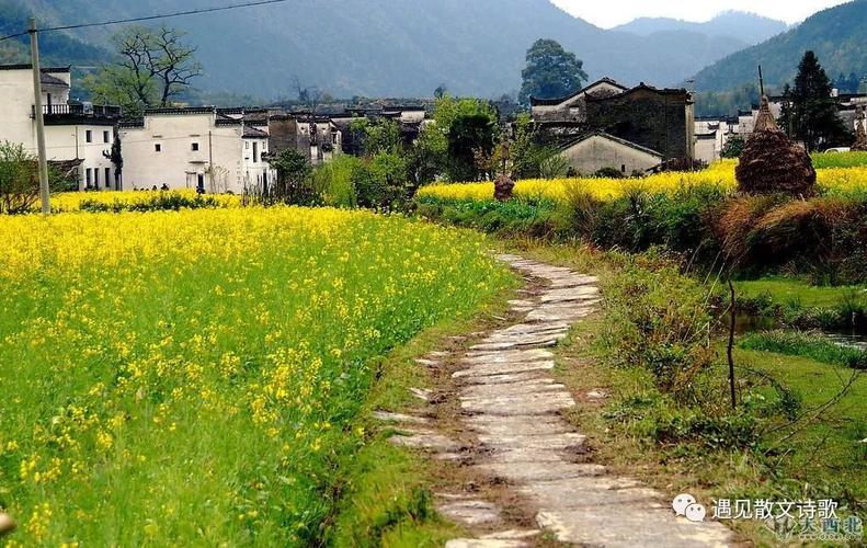 以家乡的风景为题写一篇作文600字（《家乡记忆——探寻故乡美景的旅程》）