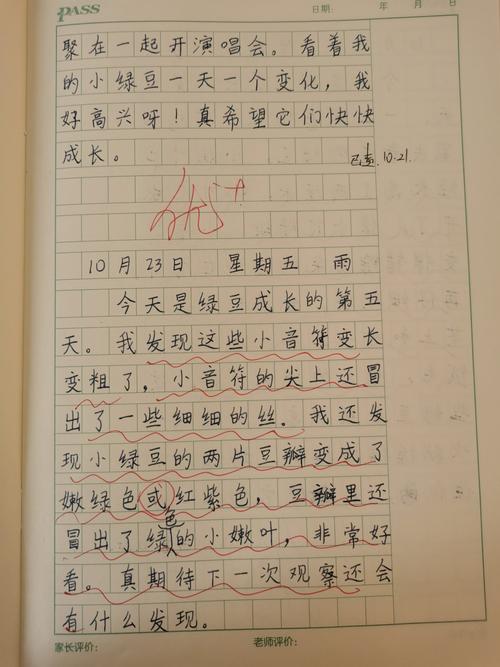 有关观察日记的作文500字（《观察之眼》）