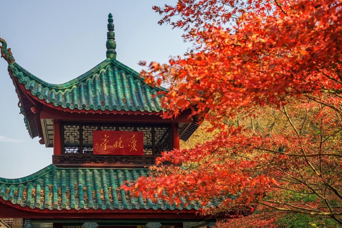 山河美景诗词大全（八首诗词里的山河美景）