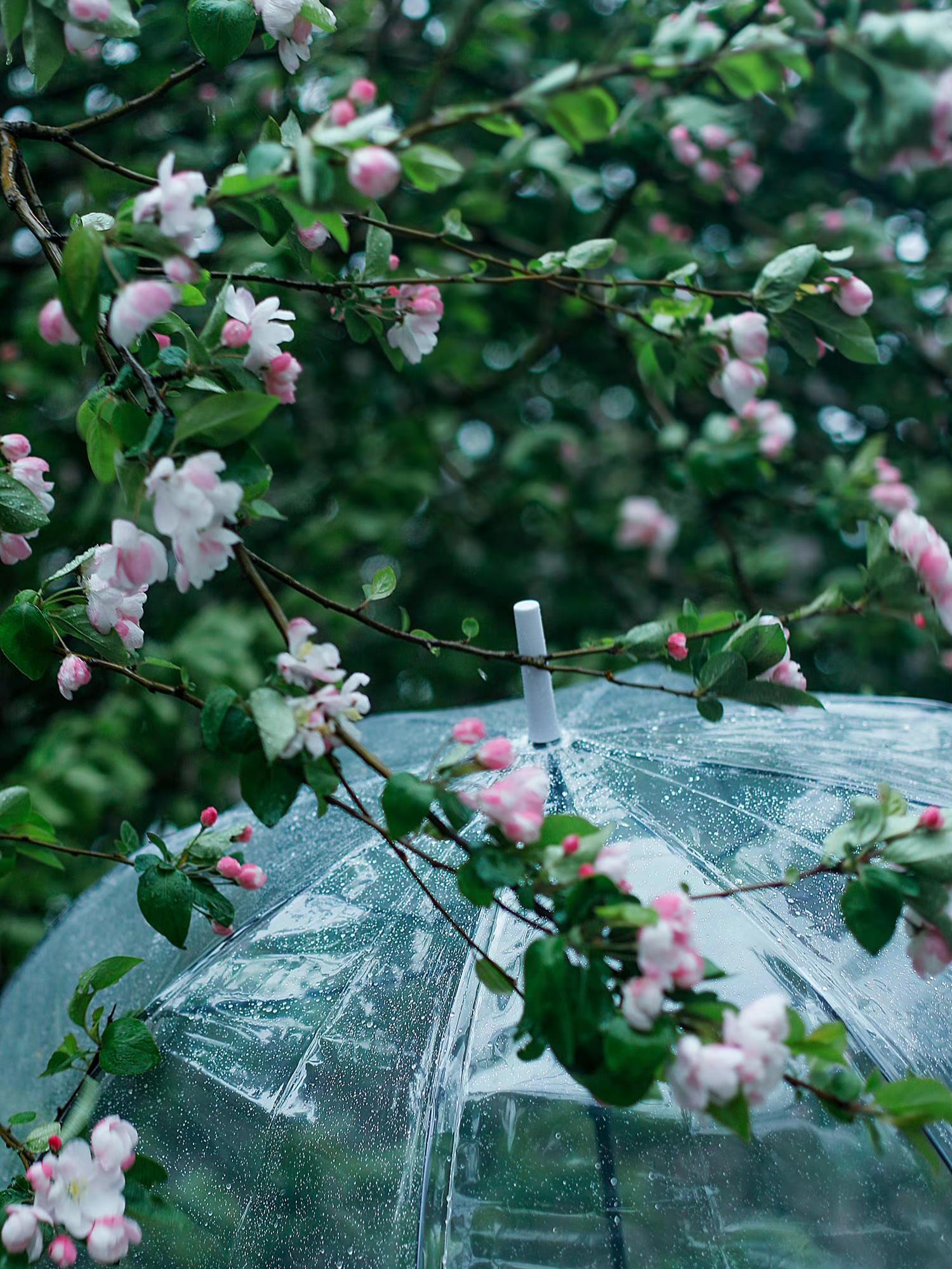 关于雨的诗句大全（2首写雨的古诗词）