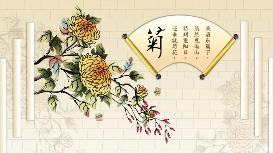 关于菊花的诗句古诗词（菊香醉人，人淡如菊）