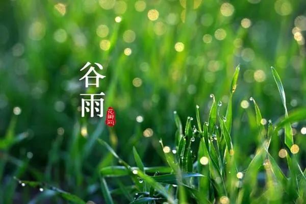 谷雨诗词佳句（关于谷雨的唯美诗句）