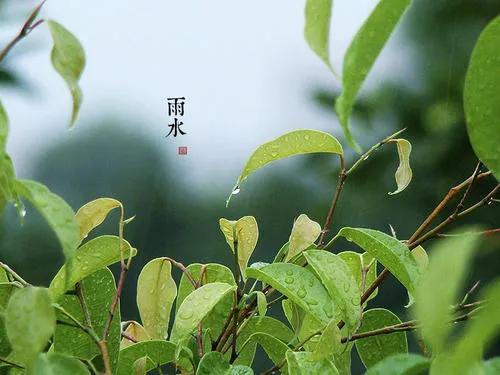 二十四节气雨水古诗词（滋润万物，孕育希望）