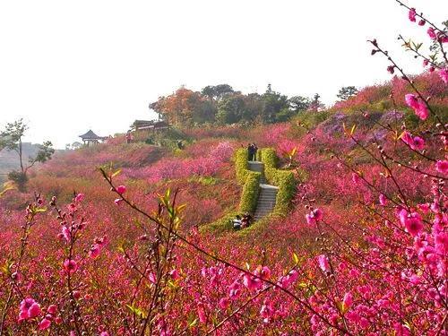 描写佛山的古诗词（古香古色，隽永雅致）