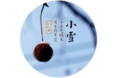 关于小雪节气的古诗词（虹藏不见，闭塞成冬）