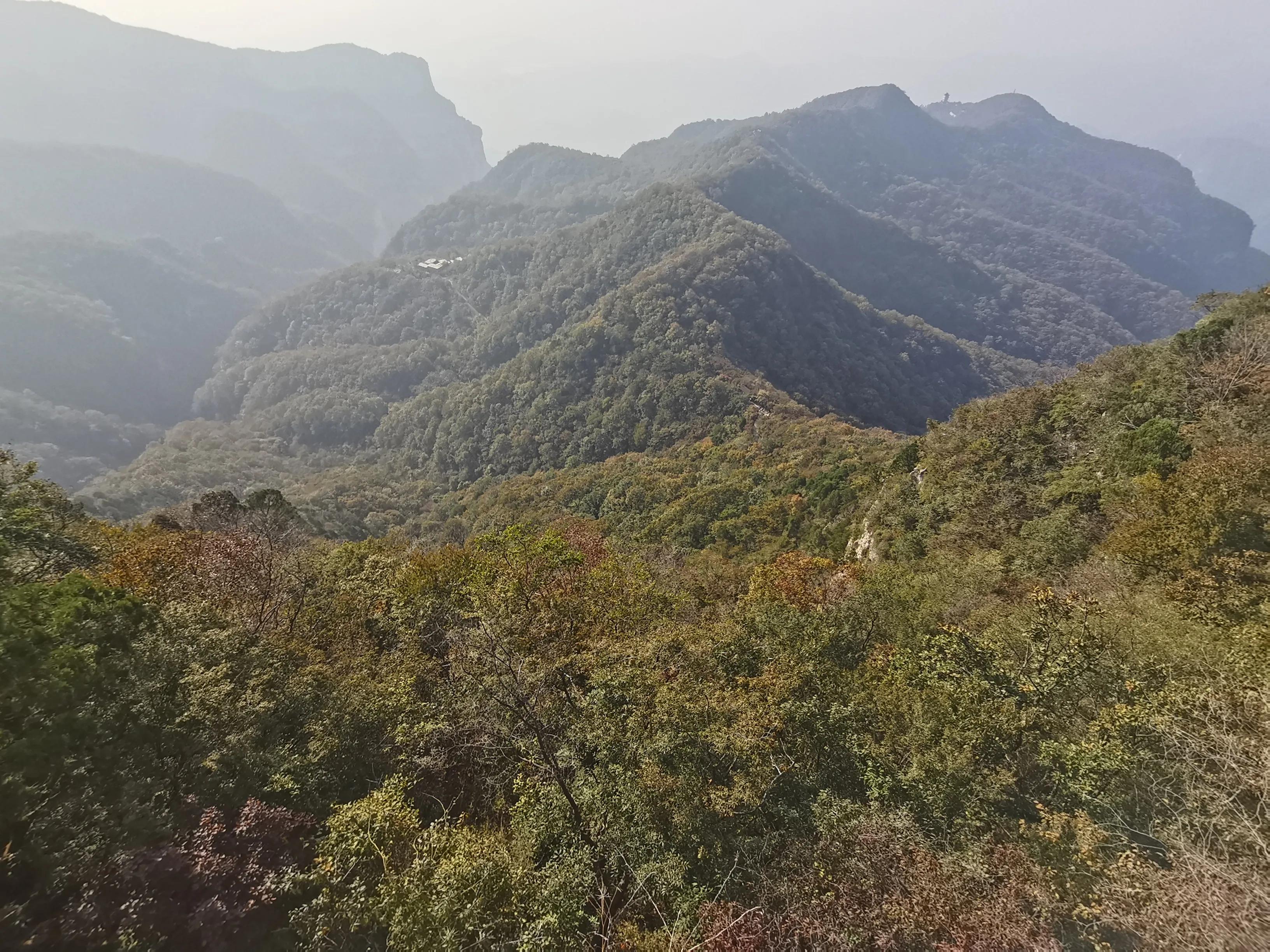 哀凄凉伤感的情诗词（以乐景写哀情的诗词古句）