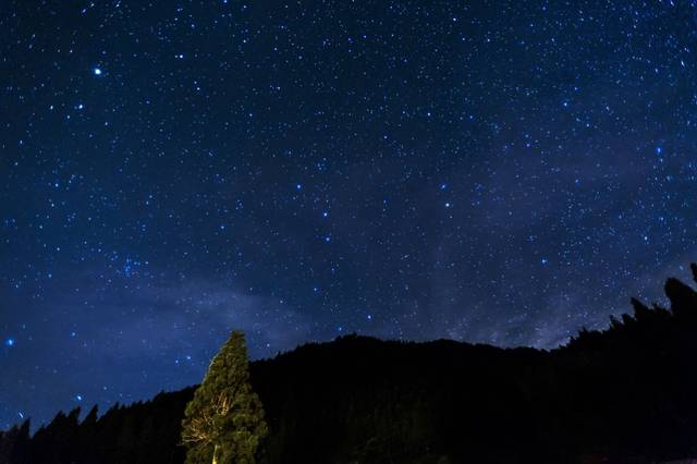 关于夏夜月色的古诗词（二十首夏夜诗词）