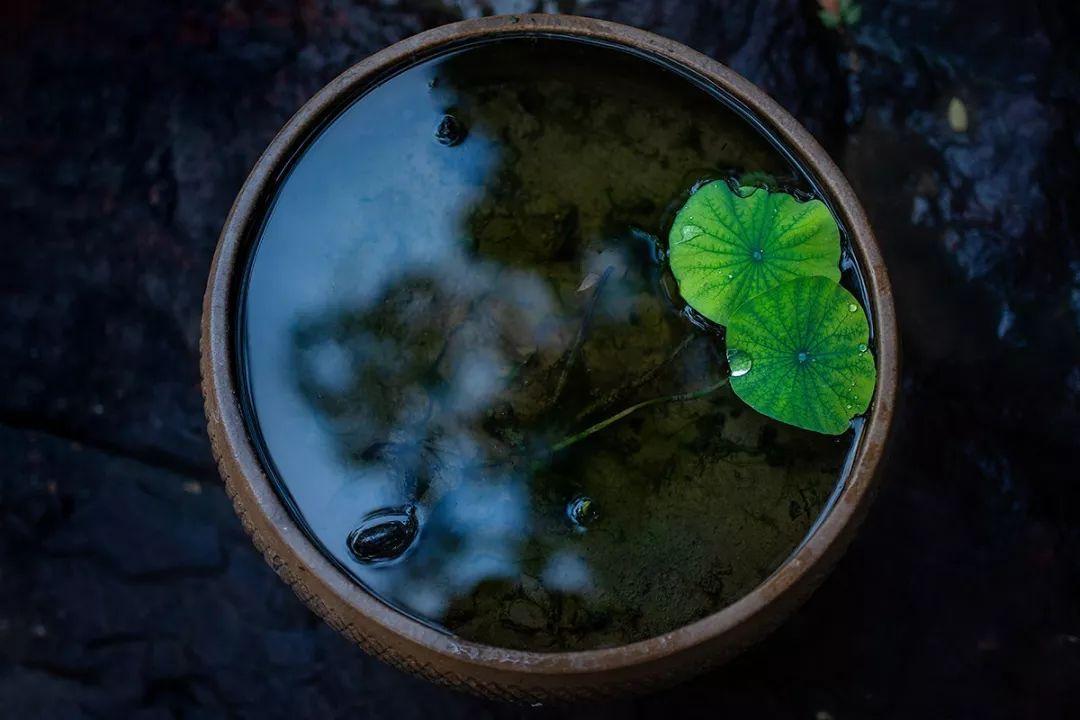 苏轼的一首夏日词（夏天惬意凉爽的诗）