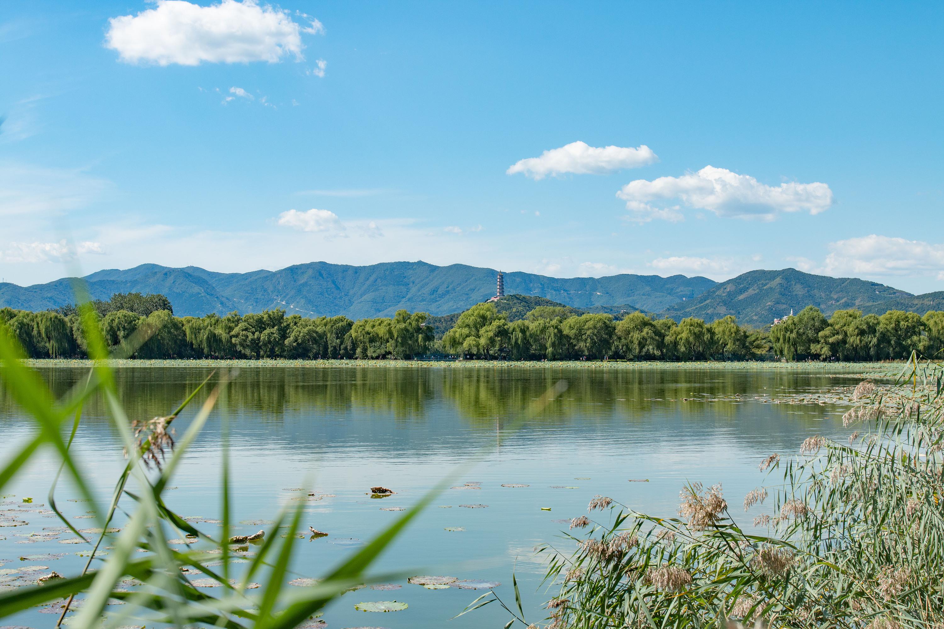 有关盛夏的千古名句（十二首唯美的夏景诗词）