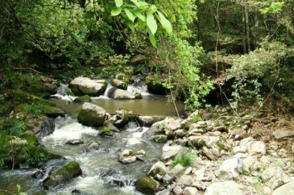 二十首幽静的山中夏日诗词（脱巾挂石壁，露顶洒松风）