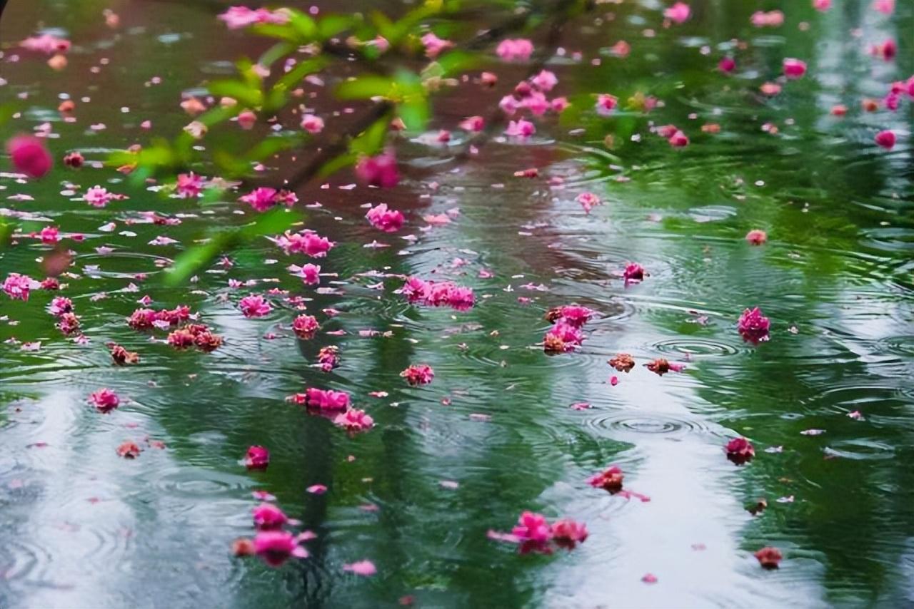 落花人独立，微雨燕双飞（十二首春残的诗词）