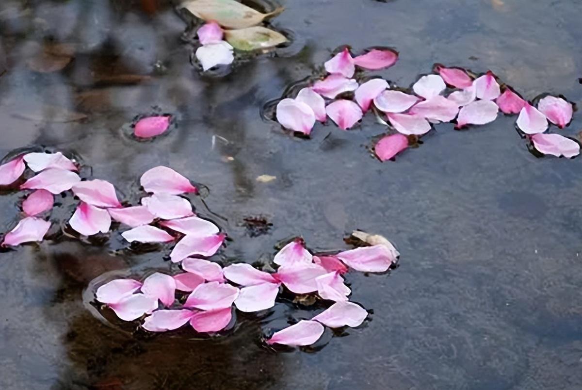 落花人独立，微雨燕双飞（十二首春残的诗词）