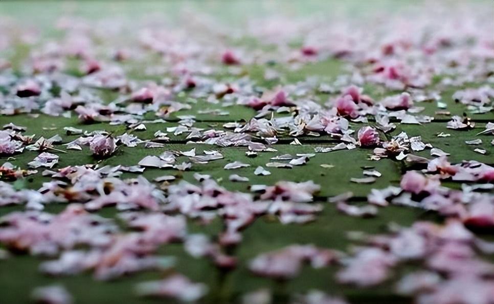 落花人独立，微雨燕双飞（十二首春残的诗词）