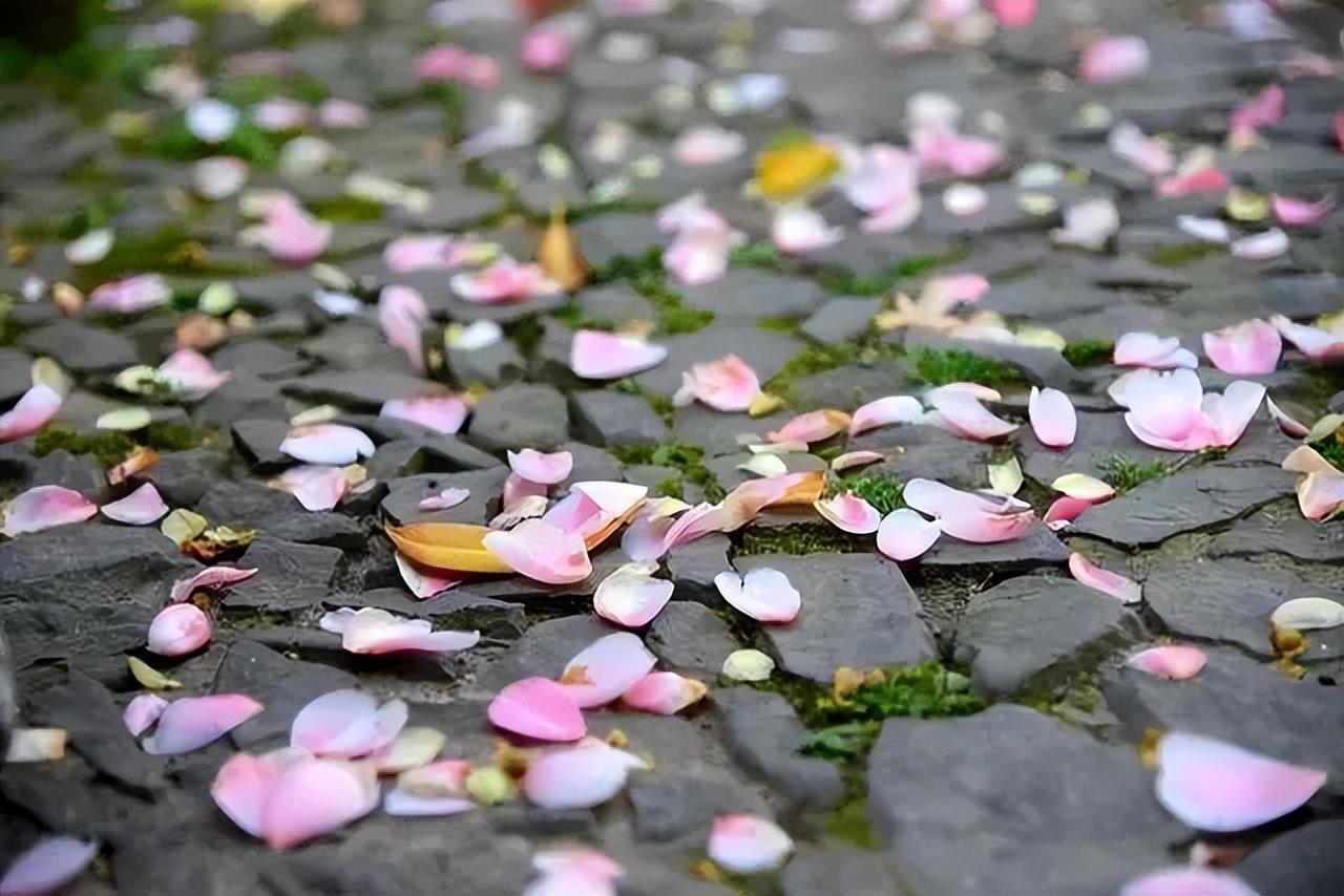 落花人独立，微雨燕双飞（十二首春残的诗词）