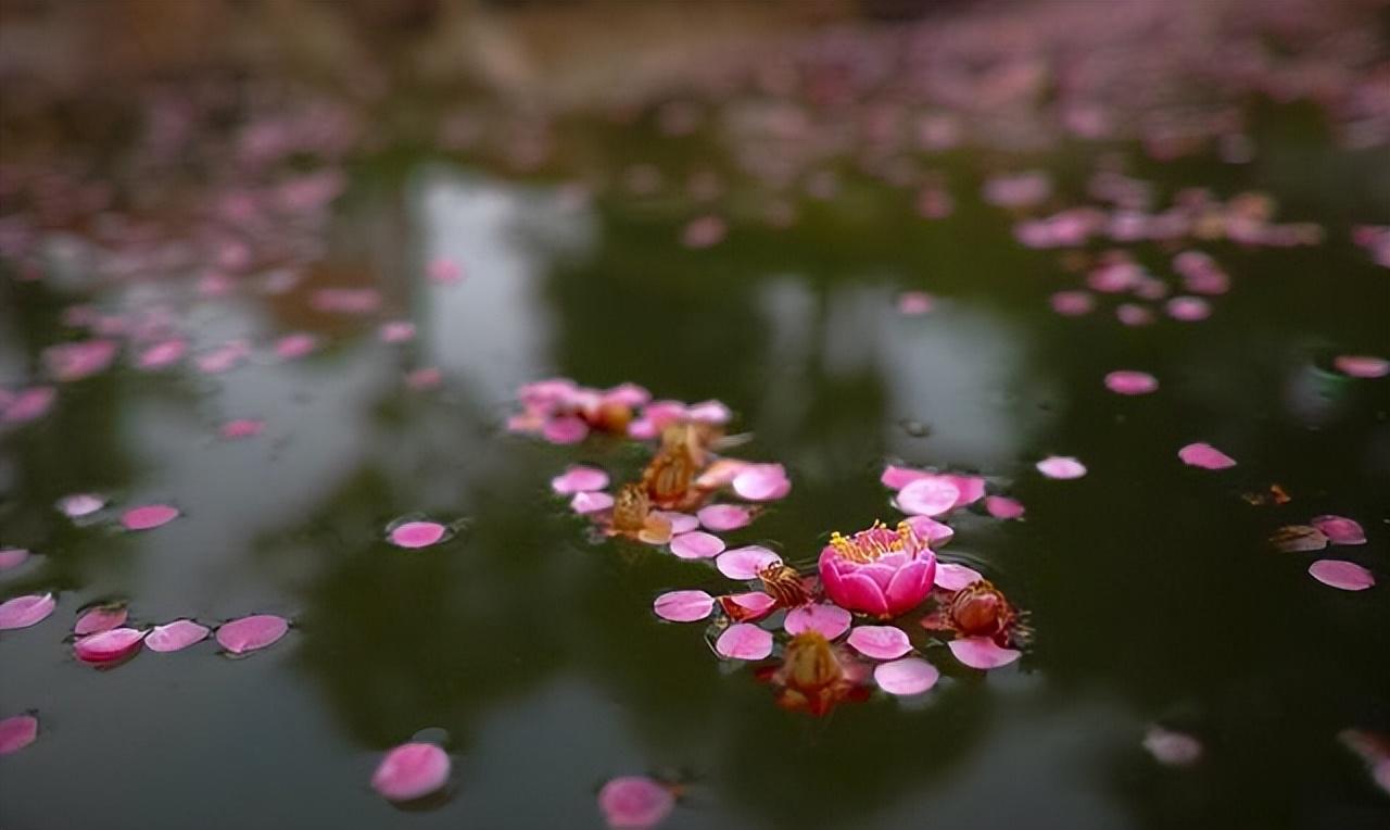 落花人独立，微雨燕双飞（十二首春残的诗词）