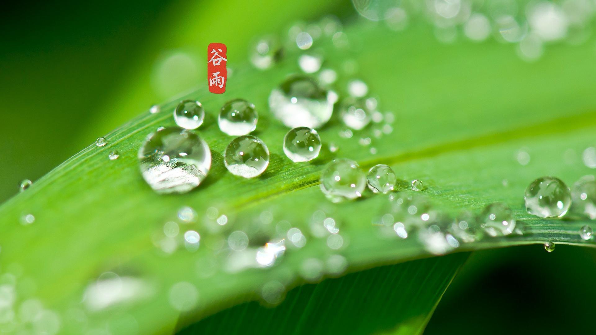 谷雨春光晓，山川黛色青（二十首最美谷雨诗词）