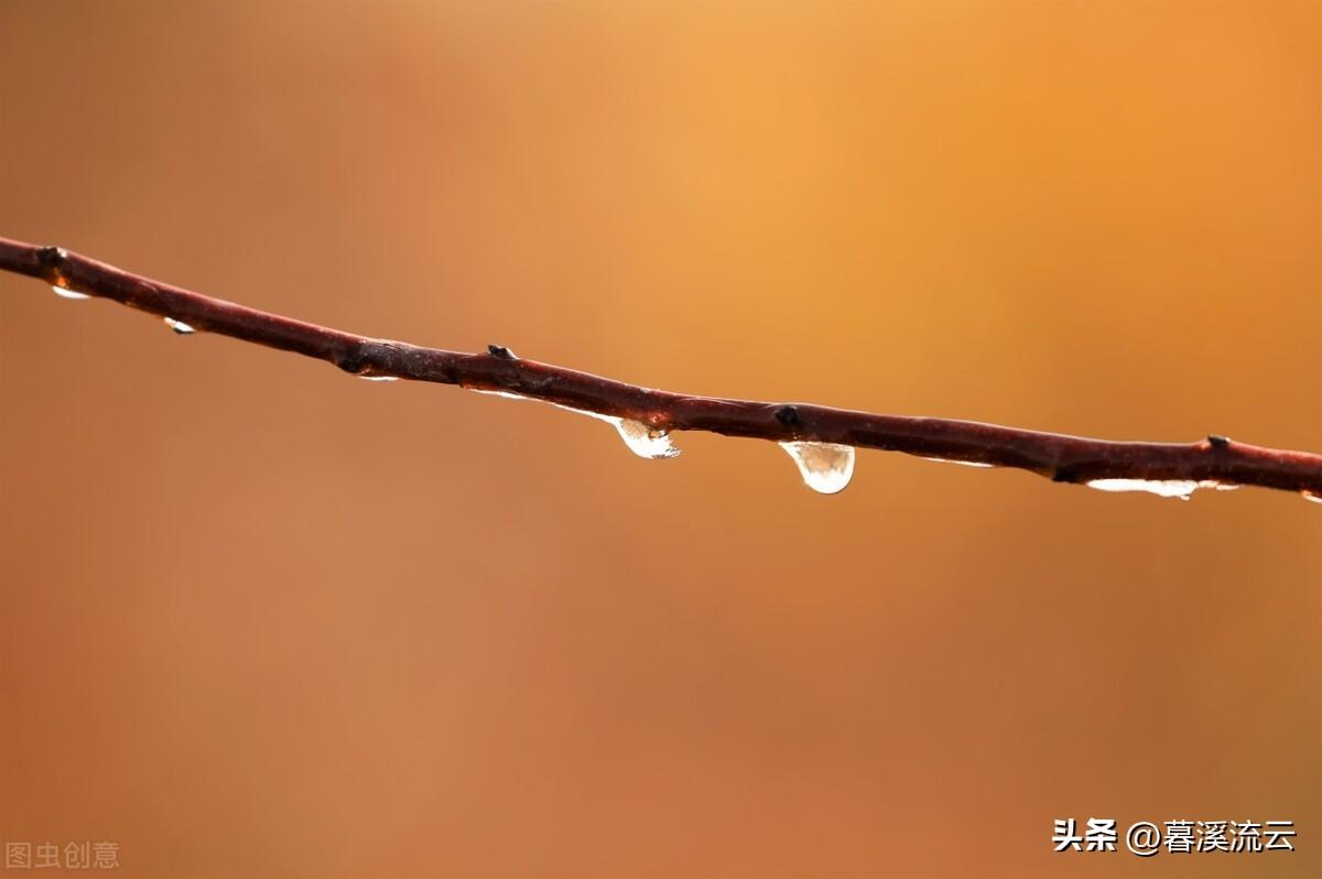 袅袅凉风动，凄凄寒露零（十首清美寒露古诗词）