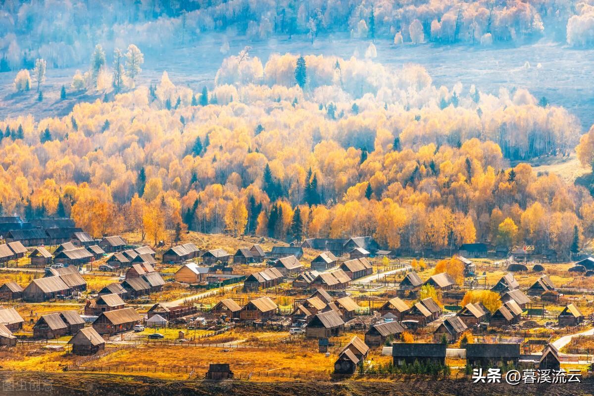 袅袅凉风动，凄凄寒露零（十首清美寒露古诗词）