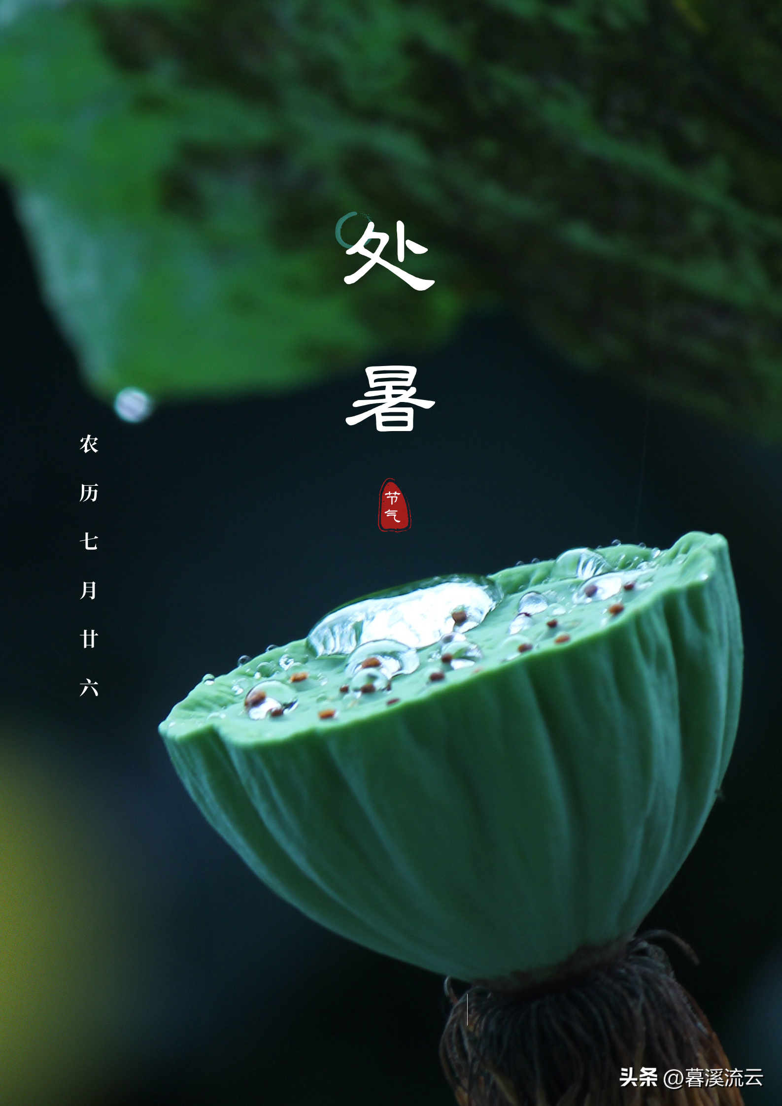 二十四节气处暑诗词名句（露蝉声渐咽，秋日景初微）