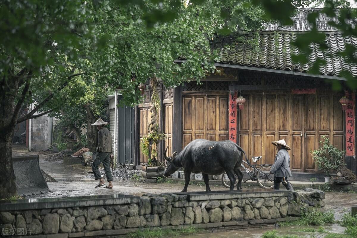 悲伤古诗词大全（10首悲伤而深刻的诗词）