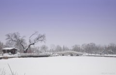 赞美雪景的古诗词（3首描写雪景的绝美宋词）