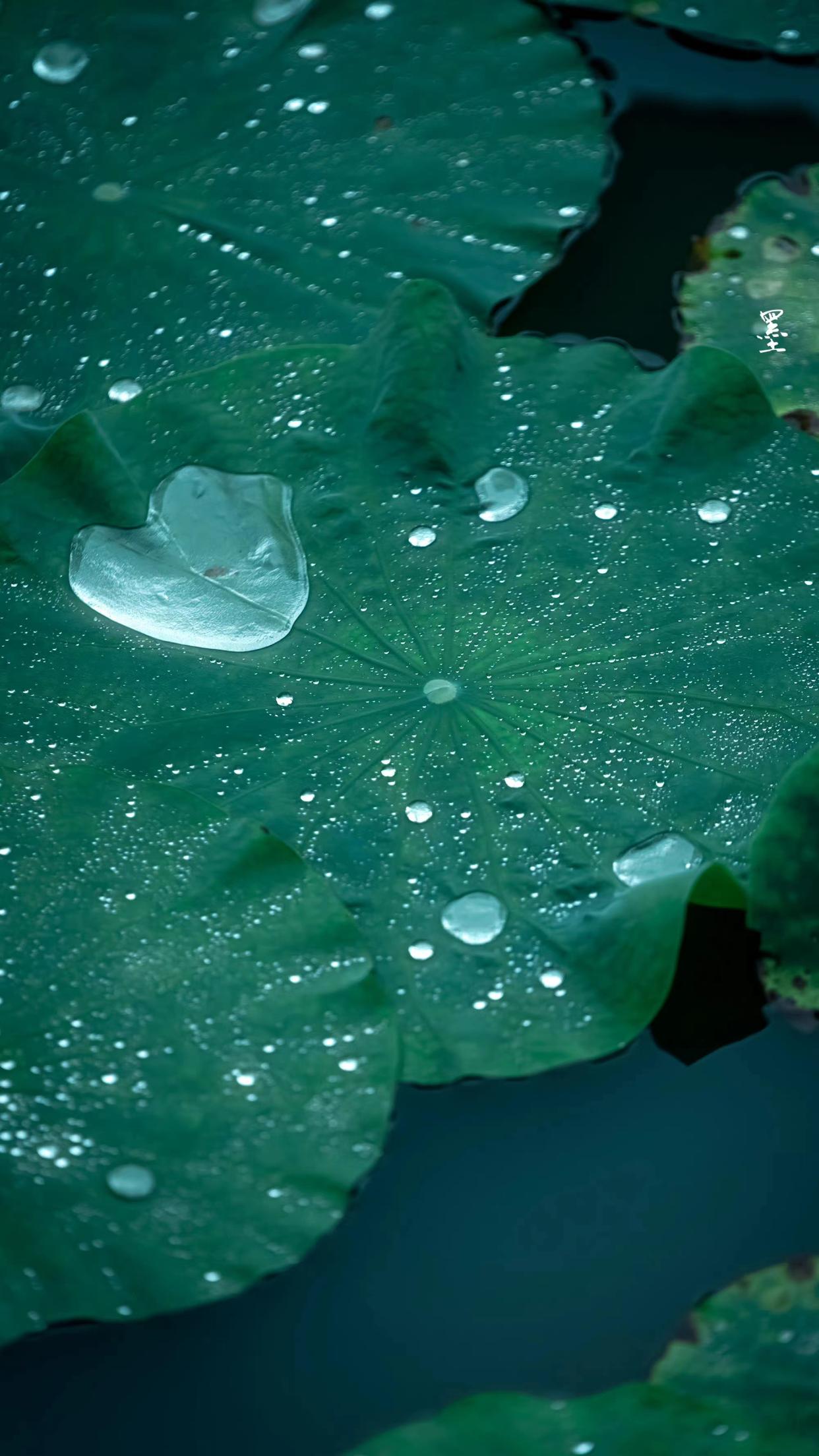 六月下雨的唯美诗句（10首夏雨诗词）