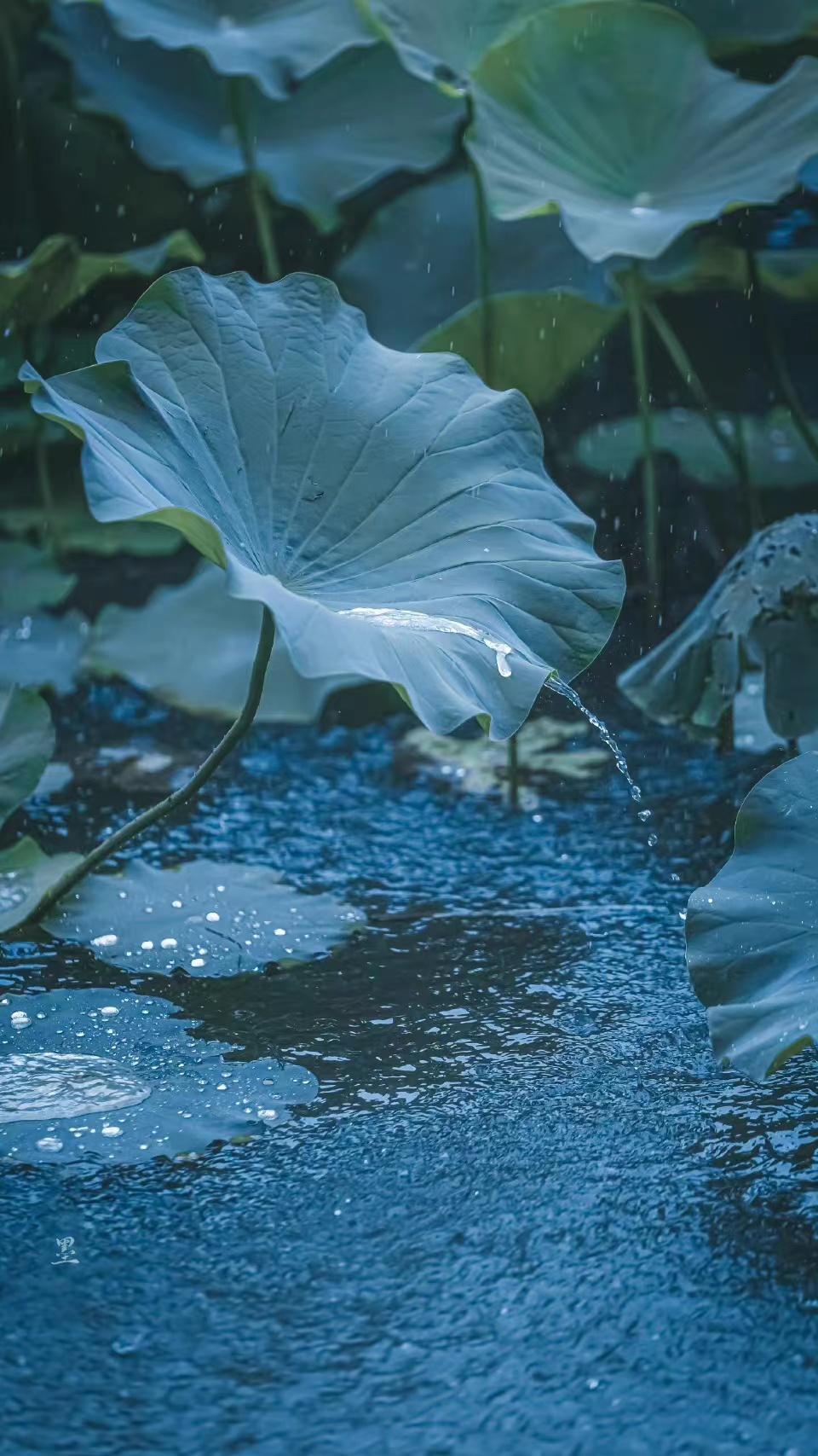 六月下雨的唯美诗句（10首夏雨诗词）