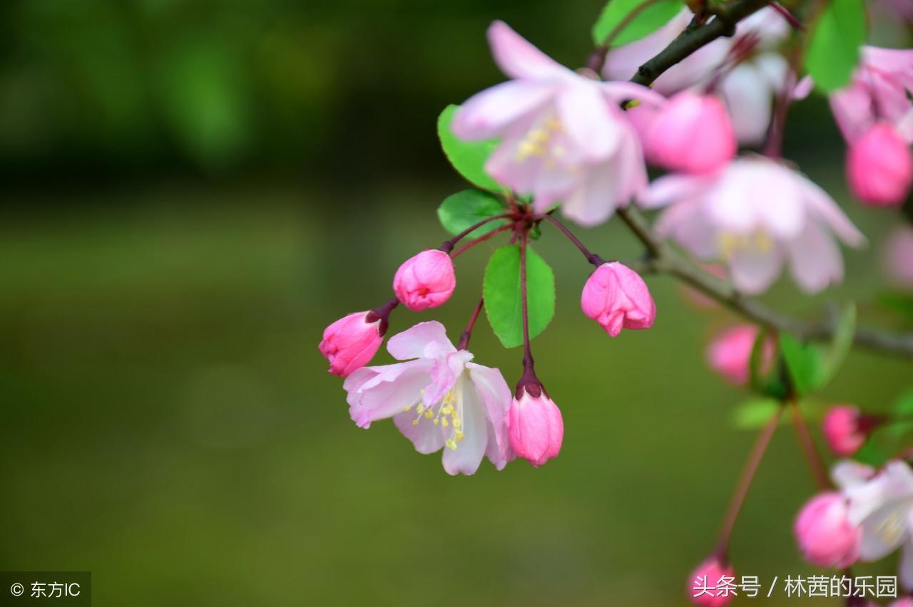 光阴飞逝诗词名句摘抄（描述光阴飞逝的8首诗词）